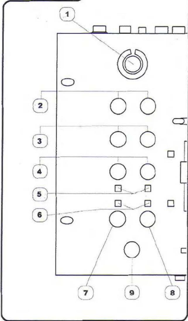 Vocopro KJ-6000 - Microphone Channel Controls and Functions - 1