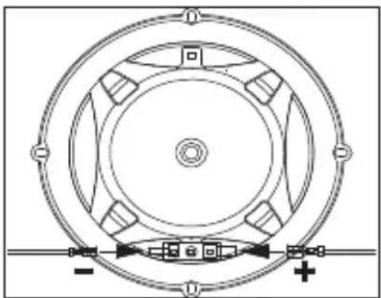 JBL Club 605CSQ - CLUB 625SQ - 2