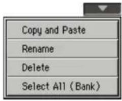 Copy and Paste Rename Delete Select All (Bank)