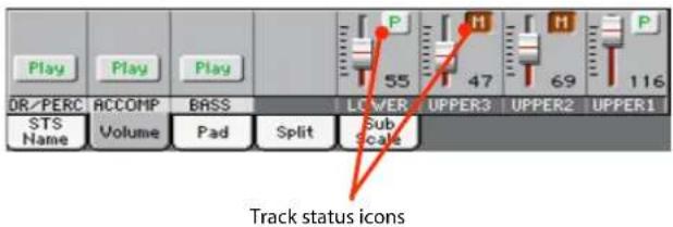Play Play Play OR/PERC ACCOMP BASS LOWER UPPER3 UPPER2 UPPER1 STS Volume Pad Split Sub Scale Track status icons