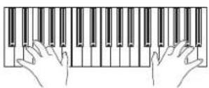 KORG Pa600 - Play the Sound on the keyboard. - 1