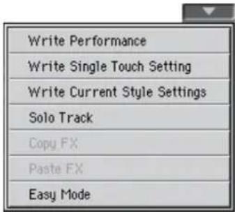Write Performance Write Single Touch Setting Write Current Style Settings Solo Track Copy FX Paste FX Easy Mode