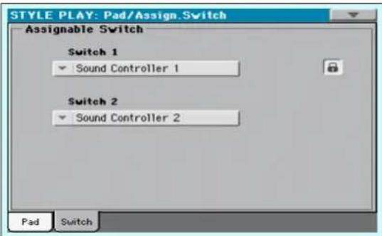 STYLE PLAY: Pad/Assign.Switch Assignable Switch Switch 1 Sound Controller 1 Switch 2 Sound Controller 2 Pad Switch