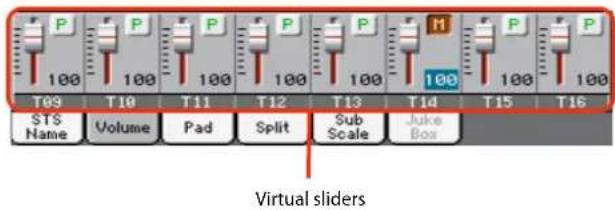 T09 STS Name Volume Pad Split Sub Scale Juke Box T10 T11 T12 T13 T14 T15 T16 P P P P P P P M Virtual sliders