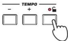 - TEMPO + - + +