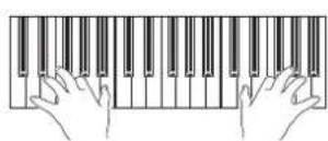 KORG Pa600 - Recording - 3