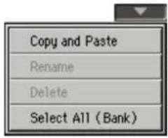 Copy and Paste Rename Delete Select All (Bank)