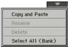 Copy and Paste Rename Delete Select All (Bank)