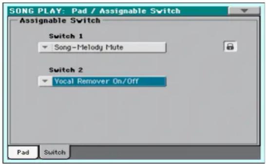 SONG PLAY: Pad / Assignable Switch Assignable Switch Switch 1 Song-Melody Mute Switch 2 Vocal Remover On/Off Pad Switch