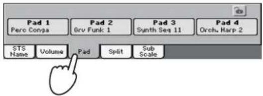 Pad 1 Pero Conga Pad 2 Grv Funk 1 Pad 3 Synth Seq 11 Pad 4 Orch. Harp 2 STS Name Volume Pad Split Sub Scale