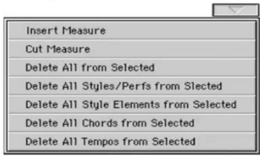 Insert Measure Cut Measure Delete All from Selected Delete All Styles/Perfs from Slected Delete All Style Elements from Selected Delete All Chords from Selected Delete All Tempos from Selected