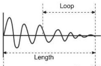 Loop Length