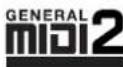 KORG Pa600 - The LOGO decoder - 1