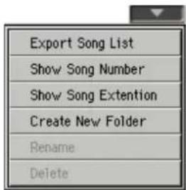 Export Song List Show Song Number Show Song Extention Create New Folder Rename Delete