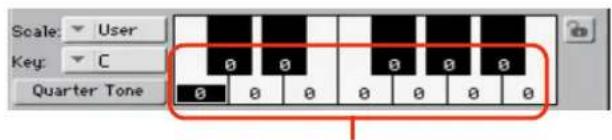 Scale: User Key: C Quarter Tone 0 0 0 0 0 0 0 0 0 0 0 0 0 0