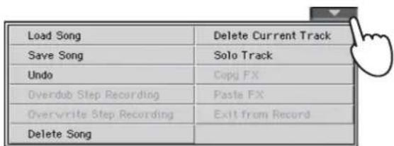 Load Song Delete Current Track Save Song Solo Track Undo Copy FX Overdub Step Recording Paste FX Overwrite Step Recording Exit from Record Delete Song