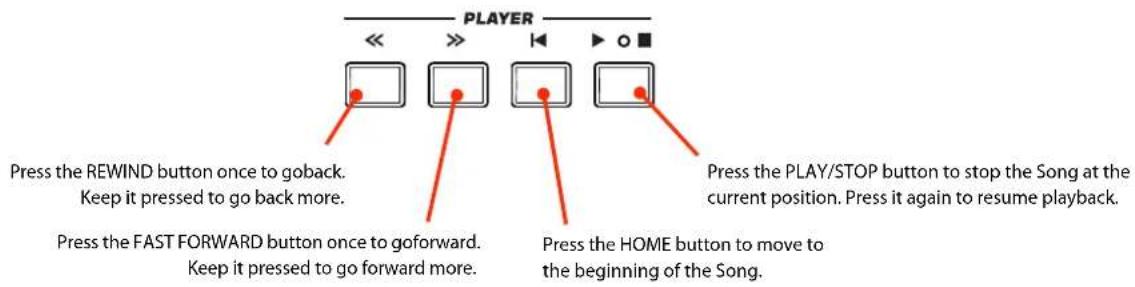 PLAYER Press the REWIND button once to goback. Keep it pressed to go back more. Press the FAST FORWARD button once to goforward. Keep it pressed to go forward more. Press the PLAY/STOP button to stop the Song at the current position. Press it again to resume playback. Press the HOME button to move to the beginning of the Song.