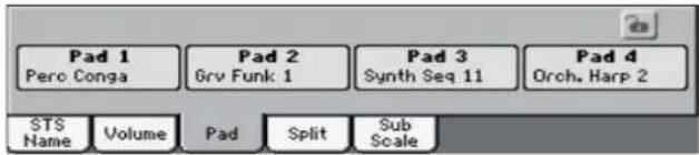 Pad 1 Perc Conga Pad 2 Grv Funk 1 Pad 3 Synth Seq 11 Pad 4 Orch. Harp 2 STS Name Volume Pad Split Sub Scale