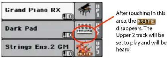 Grand Piano RX Dark Pad Strings Ens.2 GM After touching in this area, the iconE disappears. The Upper 2 track will be set to play and will be heard.