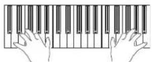 KORG Pa600 - Play the keyboard. - 1