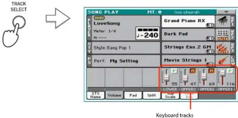 TRACK SELECT SONG PLAY MT: 0 Hidi LoveSong Meter: 1/4 M: --- J=240 Grand Piano RX Dark Pad Style: Easy Pop 1 Strings Ens.2 GM Perf: My Setting Movie Strings 1 P H H P 55 47 69 116 LOWER UPPER3 UPPER2 UPPER1 STS Name Volume Pad Split Sdd Scale Bo Keyboard tracks