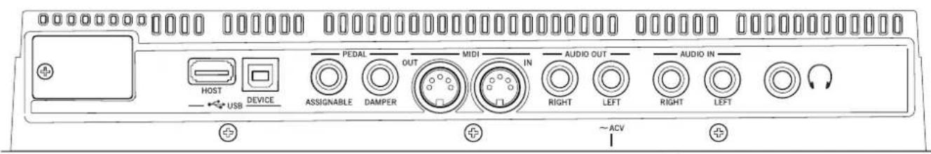 HOST USB DEVICE PEDAL ASSIGNABLE DAMPER OUT MIDI IN RIGHT LEFT ~ACV AUDIO OUT AUDIO IN
