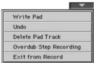 Write Pad Undo Delete Pad Track Overdub Step Recording Exit from Record