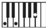 KORG Pa600 - NTT Type/Table - 5