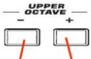 KORG Pa600 - Raising or lowering the Upper octave - 1