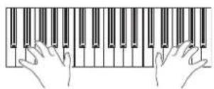 KORG Pa600 - Play the keyboard. - 1
