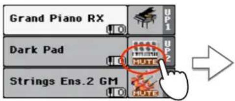 Grand Piano RX Dark Pad Strings Ens.2 GM