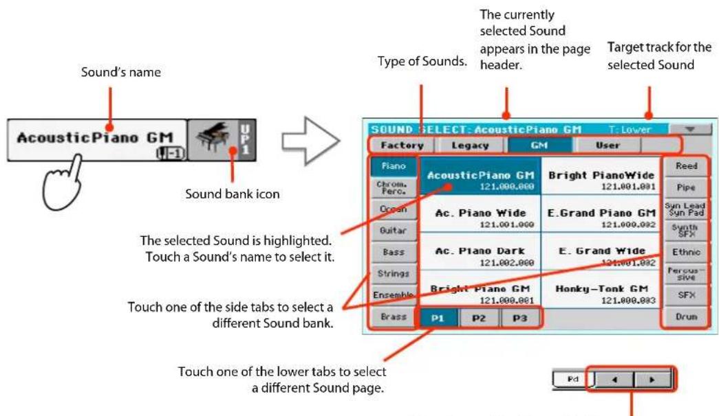 Sound's name Acoustic Piano GM Sound bank icon The selected Sound is highlighted. Touch a Sound's name to select it. Touch one of the side tabs to select a different Sound bank. Touch one of the lower tabs to select a different Sound page. Type of Sounds. The currently selected Sound appears in the page header. Target track for the selected Sound SOUND SELECT: Acoustic Piano GM T: Lower Factory Legacy GM User Piano Chrom. Perc. Cran Guitar Bass Strings Ensemble Brass P1 P2 P3 Acoustic Piano GM 121,000,000 Bright PianoWide Reed Ac. Piano Wide 121,001,000 E.Grand Piano GM Syn Lead Ac. Piano Dark 121,002,000 E. Grand Wide Syn Pad Bright Piano GM 121,000,001 Honky-Tonk GM Synth E. Grand Wide 121,001,002 SFX Pd 4 5 6 7 8 9 10 11 12 13 14 15 16 17 18 19 20 21 22 23 24 25 26 27 28 29 30 31 32 33 34 35 36 37 38 39 40 41 42 43 44 45 46 47 48 49 50 51 52 53 54 55 56 57 58 59 60 61 62 63 64 65 66 67 68 69 70 71 72 73 74 75 76 77 78 79 80 Pd