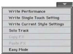 Write Performance Write Single Touch Setting Write Current Style Settings Solo Track Copy FX Paste FX Easy Mode