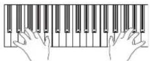 KORG Pa600 - Play chords with the left hand and single notes in the right hand. - 1