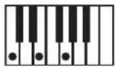 KORG Pa600 - NTT Type/Table - 3