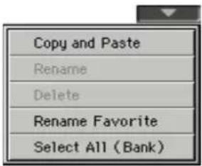 Copy and Paste Rename Delete Rename Favorite Select All (Bank)