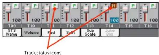 P 100 T09 T10 T11 T12 T13 T14 T15 T16 STS Name Volume Pad Split Sub Scale Juke Box Track status icons