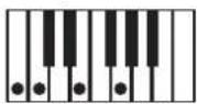 KORG Pa600 - NTT Type/Table - 6