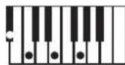 KORG Pa600 - NTT Type/Table - 8