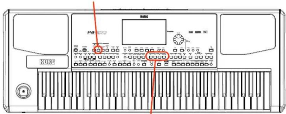KORG PA KG KG KG