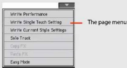 Write Performance Write Single Touch Setting Write Current Style Settings Solo Track Copy FX Paste FX Easy Mode The page menu