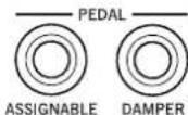 KORG Pa600 - Pedals - 1