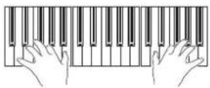 KORG Pa600 - Play the keyboard. - 1