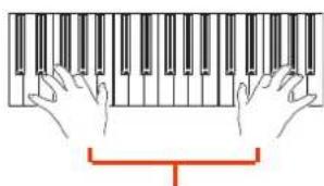 KORG Pa600 - Playing different Sounds with your left and right hand - 7