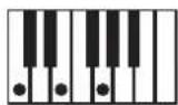 KORG Pa600 - NTT Type/Table - 7
