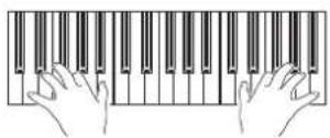 KORG Pa600 - Play the keyboard. - 1