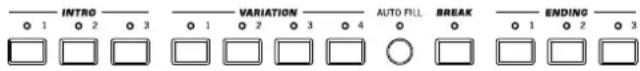 INTRO VARIATION AUTO FILL BREAK ENDING 1 2 3 1 2 3 4 0 1 2 3