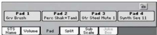 Pad 1 Grv Brush Pad 2 Pero Shak+Taml Pad 3 Gtr Steel Mute 1 Pad 4 Synth Seq 11 STS Name Volume Pad Split Sub Scale Juke Box