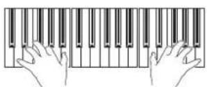 KORG Pa600 - Play the keyboard. - 1
