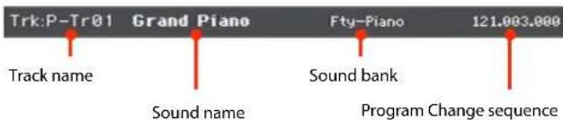 Trk:P-Tr01 Grand Piano Fty-Piano 121,003,000 Track name Sound name Sound bank Program Change sequence